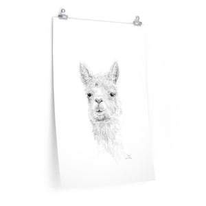 CARI Llama- Art Paper Print