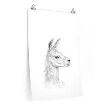 TIFFIANY Llama- Art Paper Print