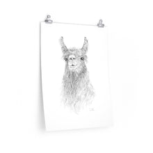 CONSWALA Llama- Art Paper Print