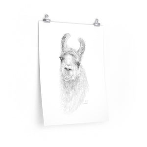 KIRBY Llama- Art Paper Print