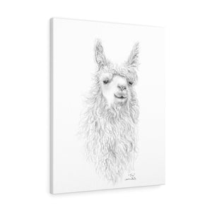TORI Llama - Art Canvas