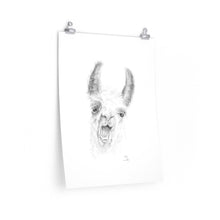 Gabby Llama- Art Paper Print