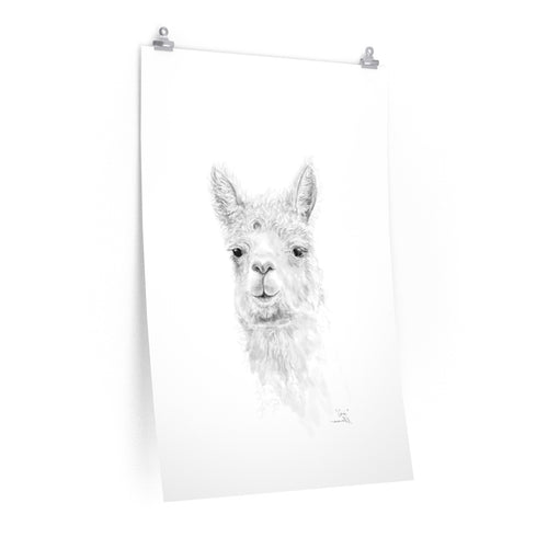 CARI Llama- Art Paper Print