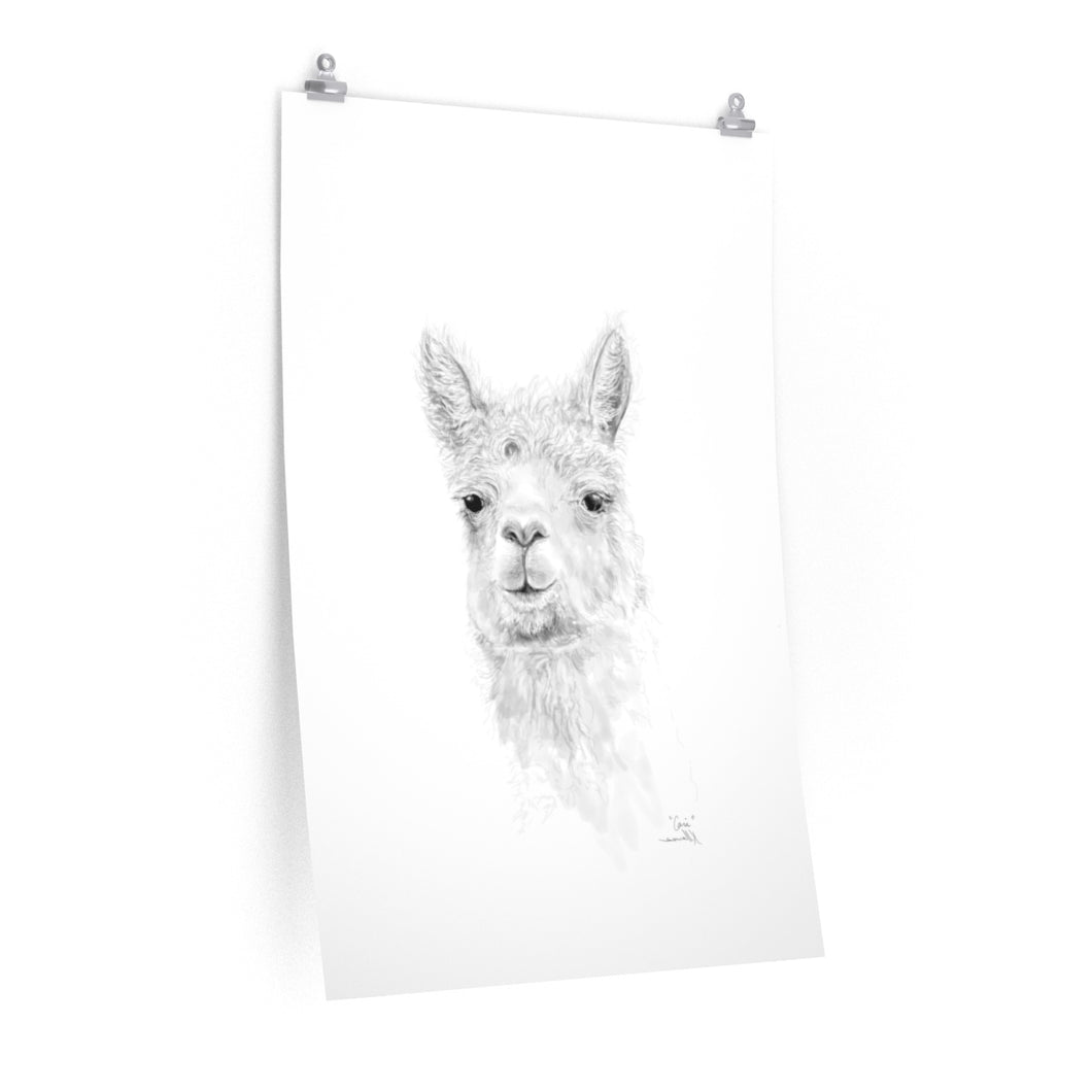 CARI Llama- Art Paper Print