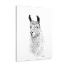 GRAYSON Llama - Art Canvas