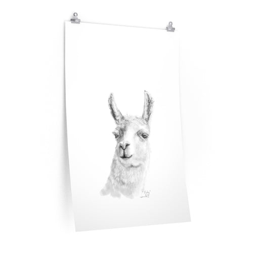 RUBY Llama- Art Paper Print