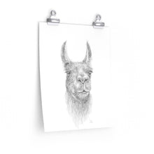 EVAN Llama- Art Paper Print