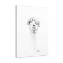 GARRETT Llama - Art Canvas