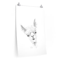 CHRISTINA Llama- Art Paper Print