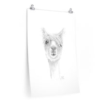 MARK Llama- Art Paper Print