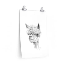 ANDREW Llama- Art Paper Print