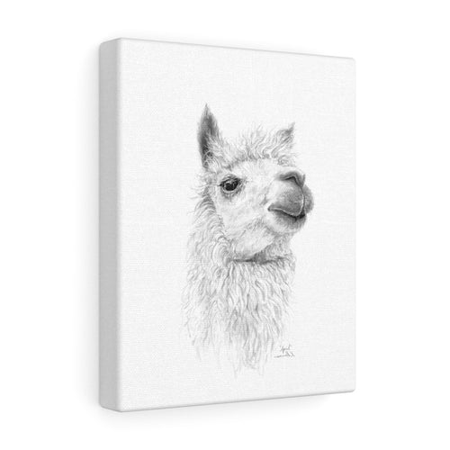 APRIL Llama - Art Canvas