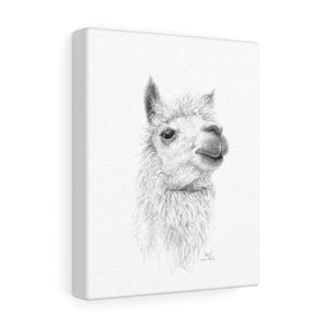 APRIL Llama - Art Canvas