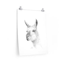INDI Llama- Art Paper Print