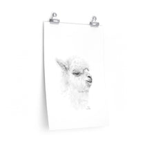 BEN Llama- Art Paper Print