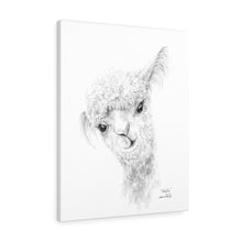 NATALIA Llama - Art Canvas