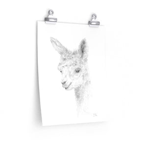ANALYN Llama- Art Paper Print