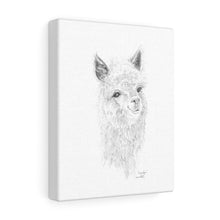 Gracelyn Llama - Art Canvas