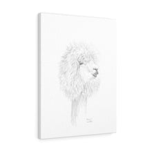 MIRIAM Llama- Art Canvas