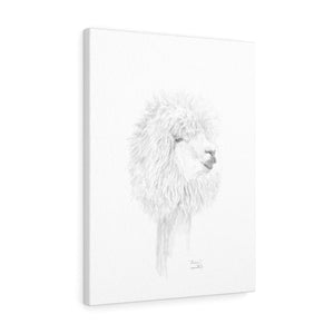 MIRIAM Llama- Art Canvas