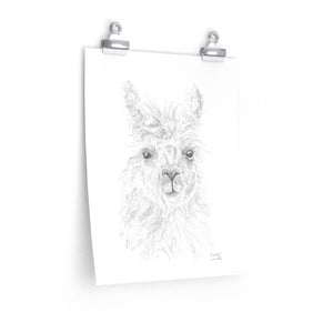 FRANKIE Llama- Art Paper Print