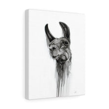 LORRY Llama - Art Canvas