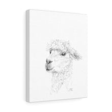 HEATHER Llama - Art Canvas