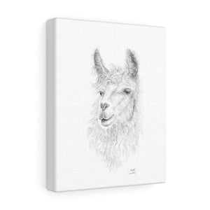 Michelle Llama - Art Canvas