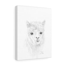 PARKER Llama - Art Canvas