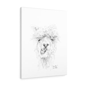 JONATHON Llama - Art Canvas