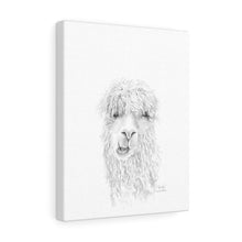 BROOKE Llama - Art Canvas