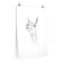 DAVYN Llama- Art Paper Print