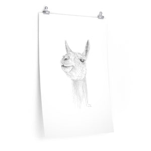 DAVYN Llama- Art Paper Print