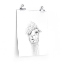 KEN Llama- Art Paper Print