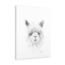 SHERYL Llama - Art Canvas