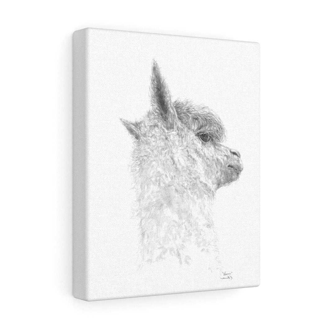NAOMI Llama - Art Canvas