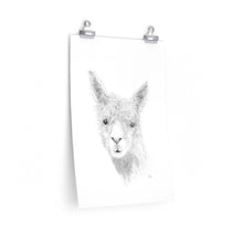 HAYDEN Llama- Art Paper Print