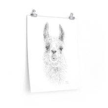 SARAH Llama- Art Paper Print