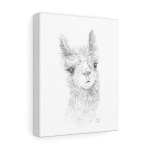 MELODY Llama - Art Canvas