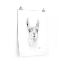 BILLIE-JO Llama- Art Paper Print
