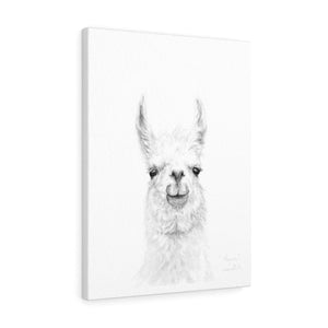 MAGNUS Llama - Art Canvas
