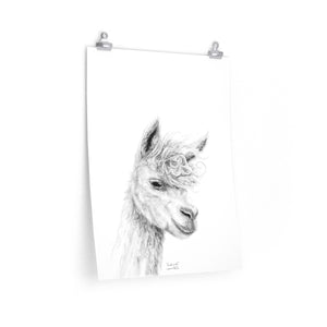 FREDERICK Llama- Art Paper Print