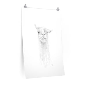 SCOTT Llama- Art Paper Print