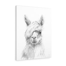 JOEL Llama - Art Canvas