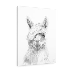 JOEL Llama - Art Canvas