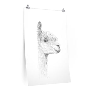 PIPER Llama- Art Paper Print