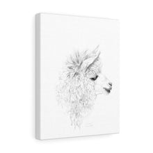 ARIANA Llama - Art Canvas