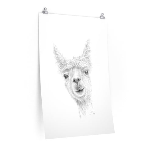 ZACH Llama- Art Paper Print