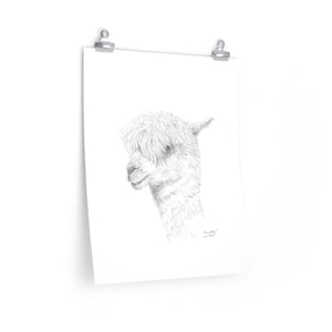 TIMOTHY Llama- Art Paper Print