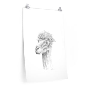 WILL Llama- Art Paper Print